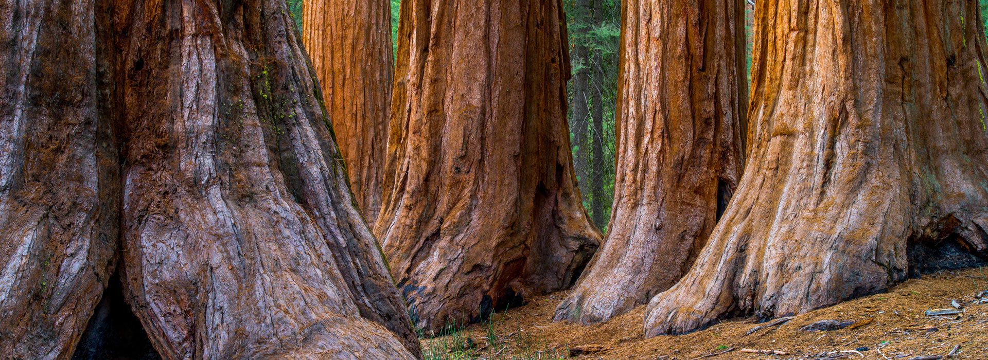 PAPA Pesticide Applicators Professional Association